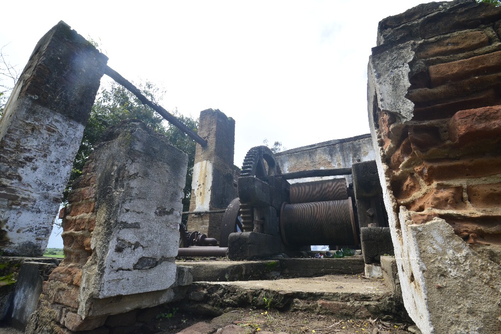 2021.05.13_sao miguel taipu_engenho novo © roberto guedes (32).JPG