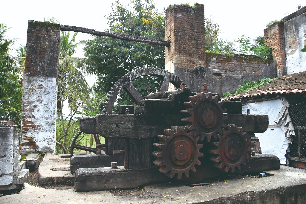 2021.05.13_sao miguel taipu_engenho novo © roberto guedes (4).JPG