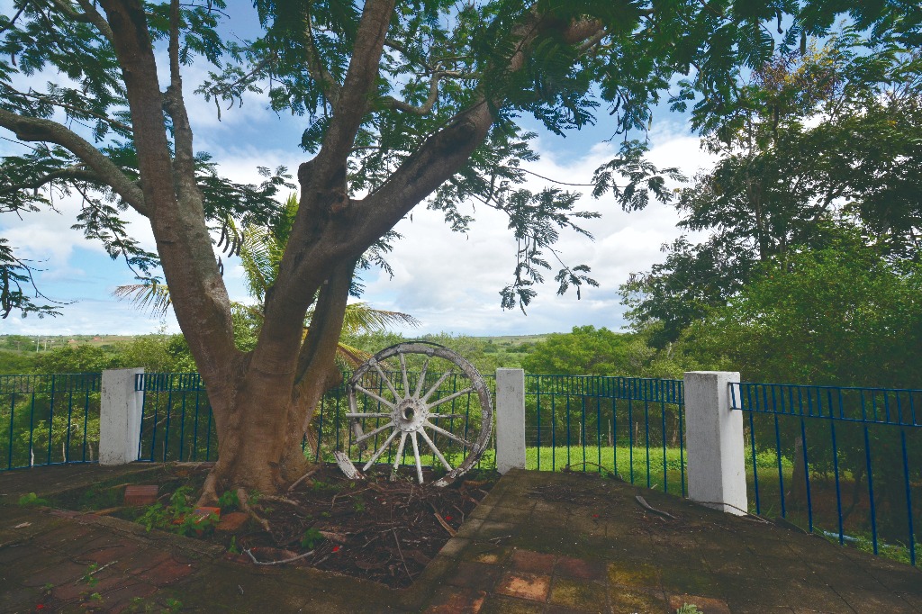 2021.05.13_sao miguel taipu_engenho novo © roberto guedes (42).JPG