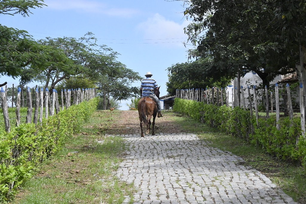 2021.05.13_sao miguel taipu_engenho novo © roberto guedes (44).JPG