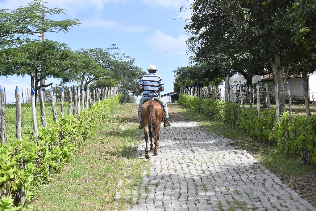 2021.05.13_sao miguel taipu_engenho novo © roberto guedes (47).JPG