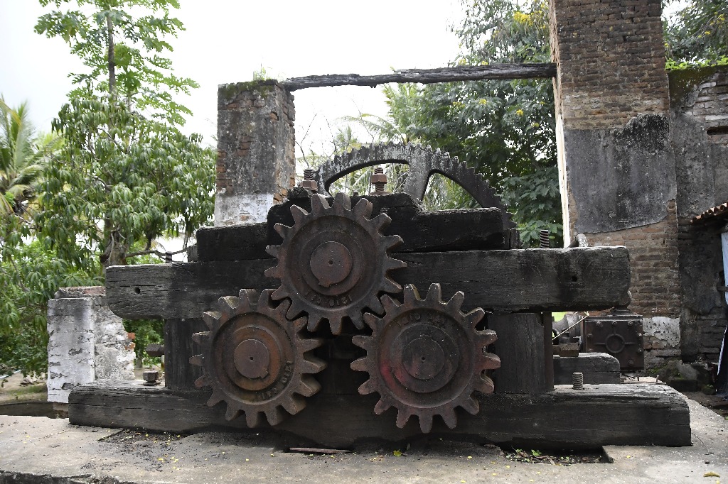 2021.05.13_sao miguel taipu_engenho novo © roberto guedes (5).JPG