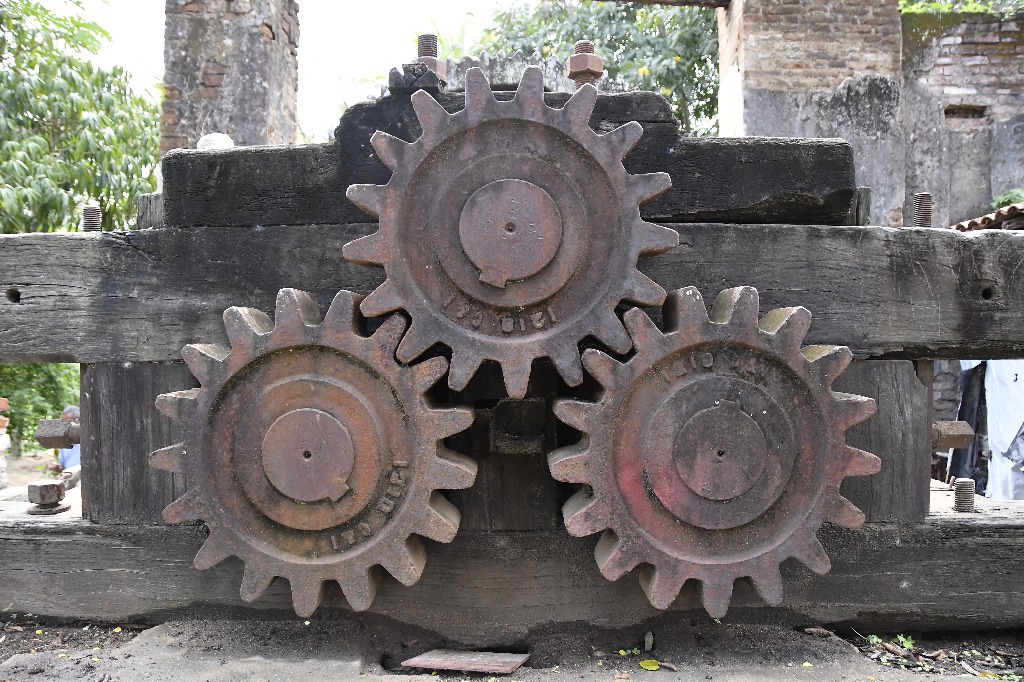 2021.05.13_sao miguel taipu_engenho novo © roberto guedes (6).JPG