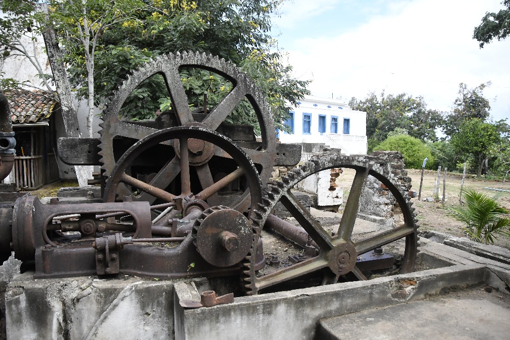 2021.05.13_sao miguel taipu_engenho novo © roberto guedes (8).JPG