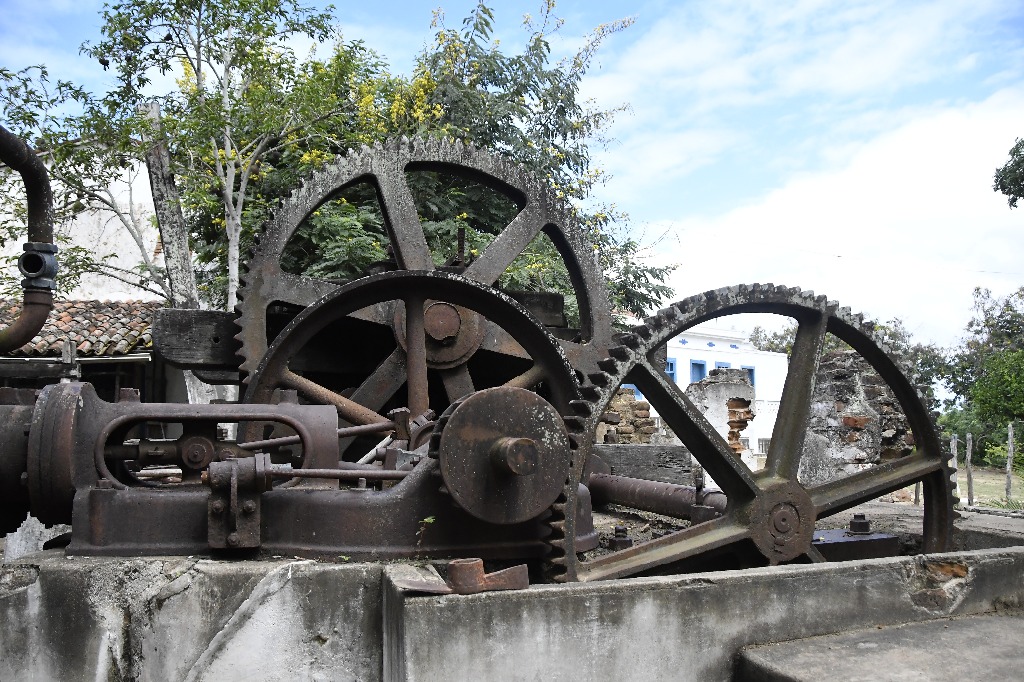 2021.05.13_sao miguel taipu_engenho novo © roberto guedes (9).JPG