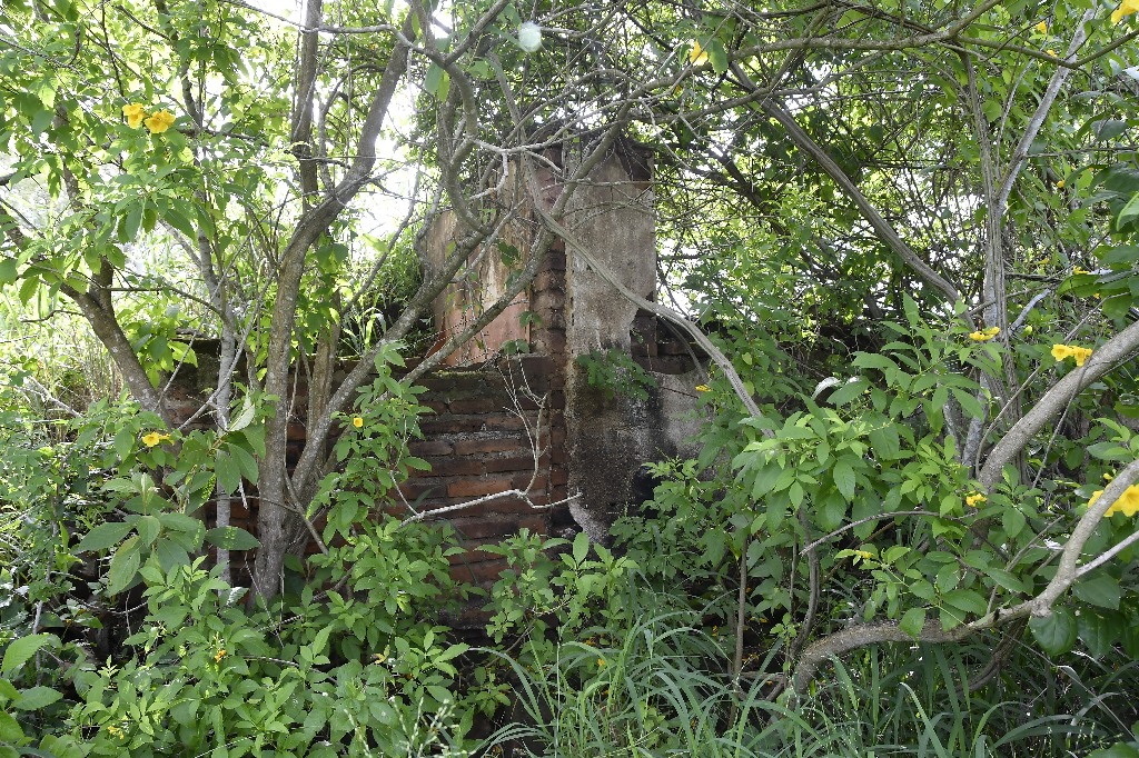 2021.05.13_sao miguel taipu_itapua © roberto guedes (12).JPG