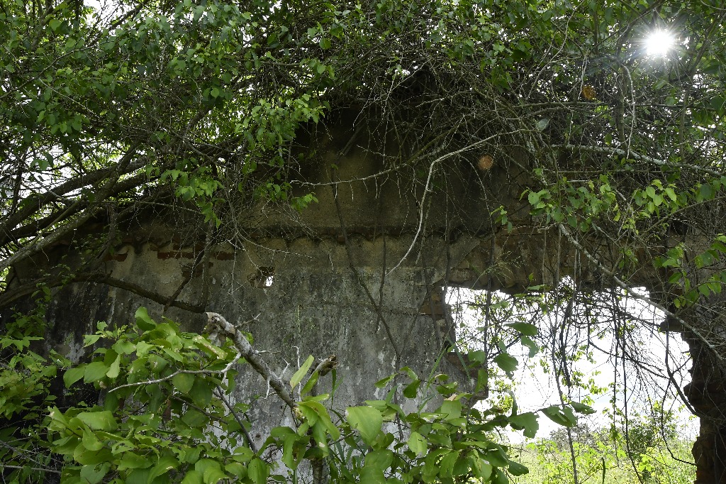 2021.05.13_sao miguel taipu_itapua © roberto guedes (13).JPG