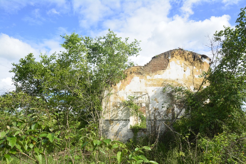 2021.05.13_sao miguel taipu_itapua © roberto guedes (28).JPG