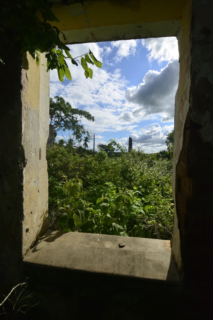 2021.05.13_sao miguel taipu_itapua © roberto guedes (29).JPG