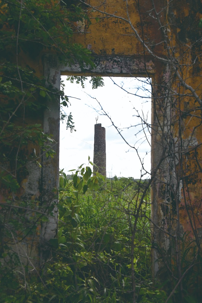 2021.05.13_sao miguel taipu_itapua © roberto guedes (9).JPG