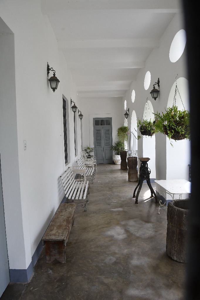 2021.05.13_sao miguel taipu_oiteiro © roberto guedes (53).JPG