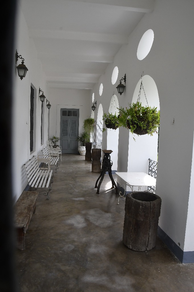 2021.05.13_sao miguel taipu_oiteiro © roberto guedes (54).JPG