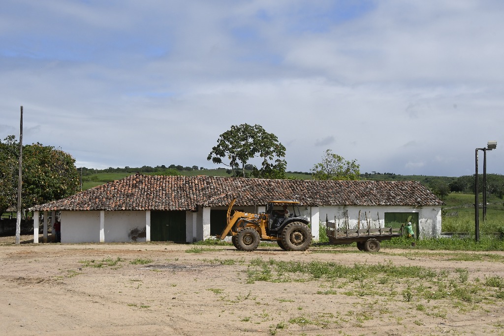 2021.05.13_sao miguel taipu_oiteiro © roberto guedes (6).JPG