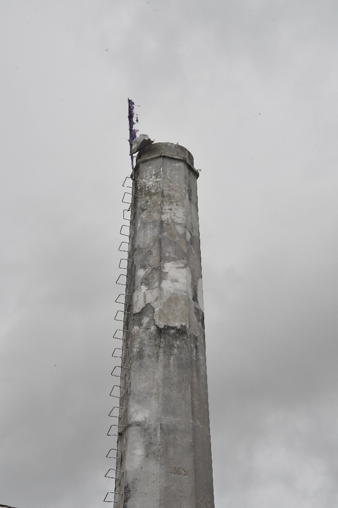 2021.05.13_sao miguel taipu_oiteiro © roberto guedes (62).JPG