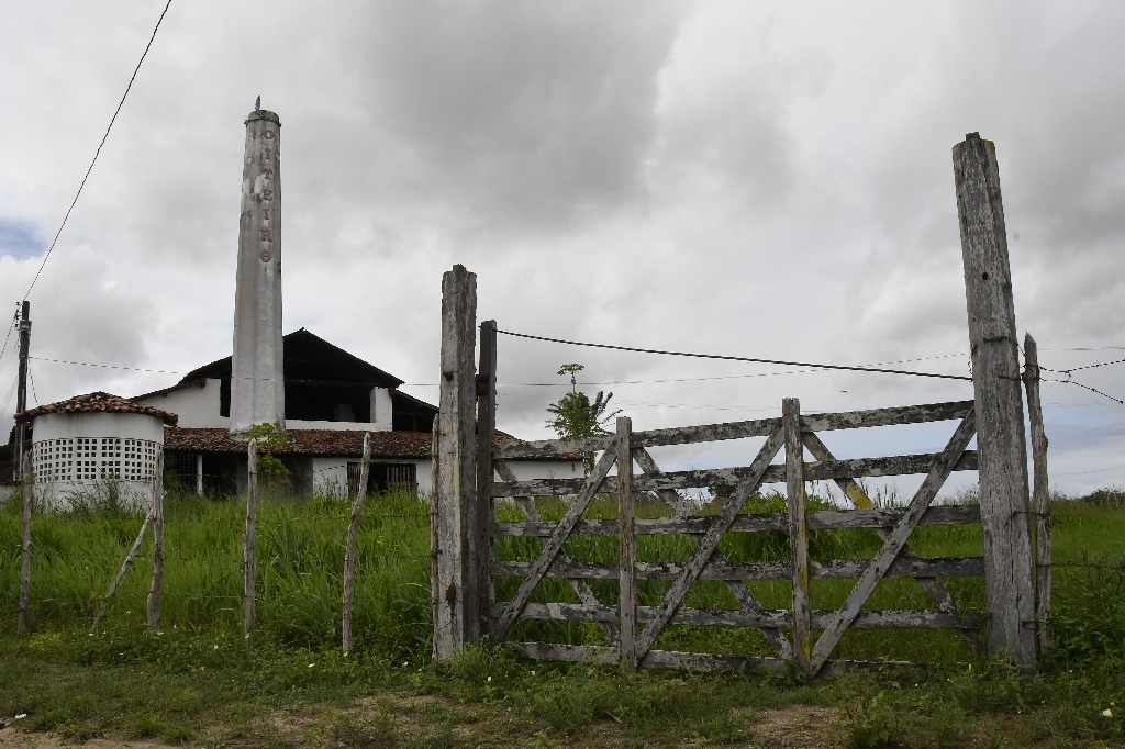 2021.05.13_sao miguel taipu_oiteiro © roberto guedes (66).JPG