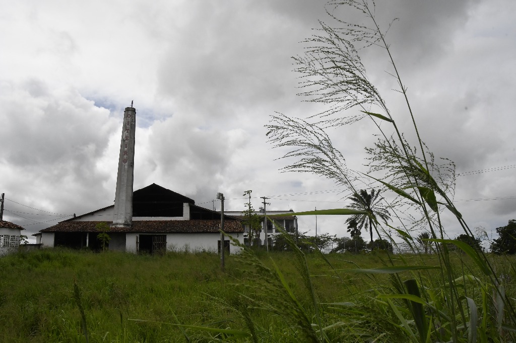 2021.05.13_sao miguel taipu_oiteiro © roberto guedes (68).JPG