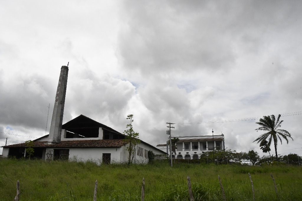 2021.05.13_sao miguel taipu_oiteiro © roberto guedes (69).JPG