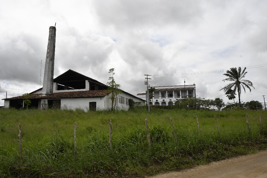 2021.05.13_sao miguel taipu_oiteiro © roberto guedes (70).JPG