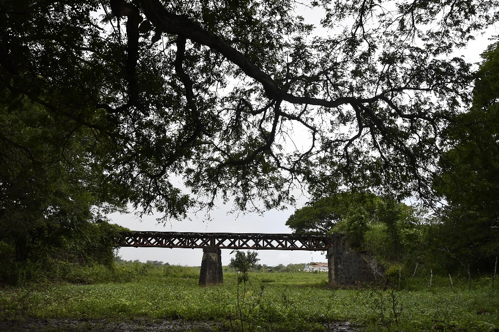 2021.05.13_sao miguel taipu_ponte ferrea © roberto guedes (3).JPG