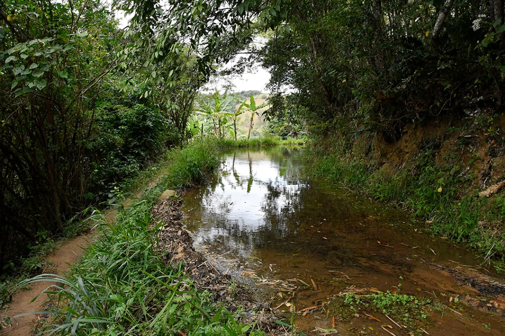 20200915_ÁRIE_ Goiamunduba © roberto guedes (124).JPG