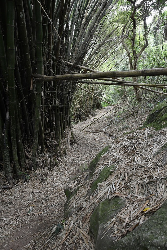 20200915_ÁRIE_ Goiamunduba © roberto guedes (41).JPG