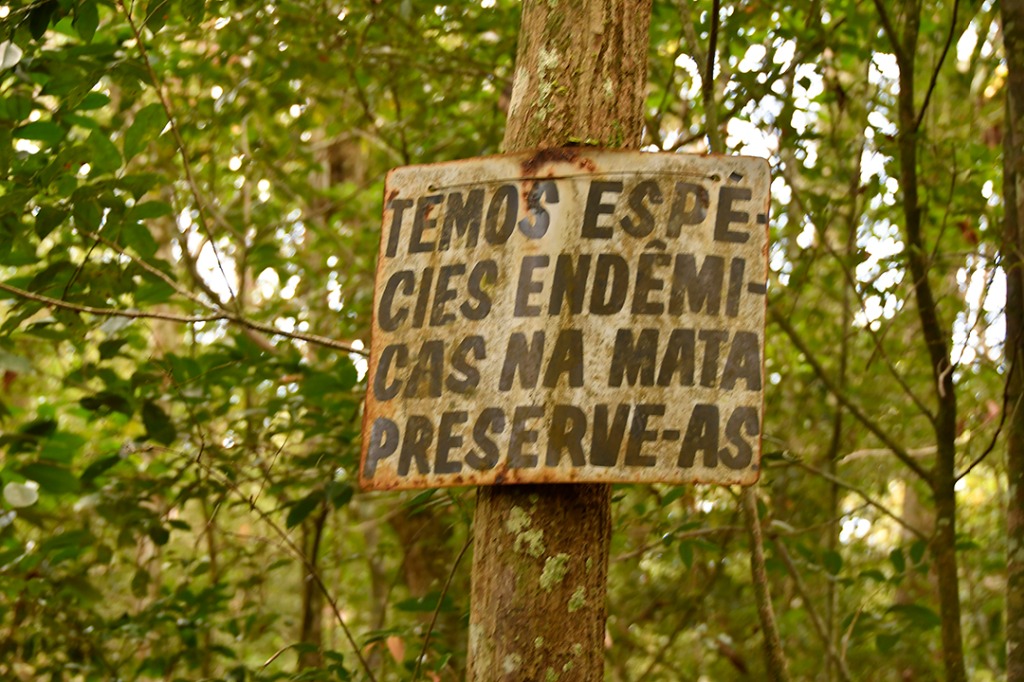 20200915_parque estadual mata do pau ferro © roberto guedes (26).JPG