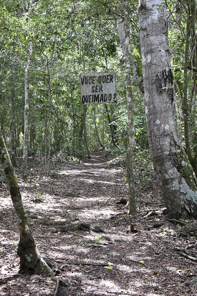 20200915_parque estadual mata do pau ferro © roberto guedes (60).JPG