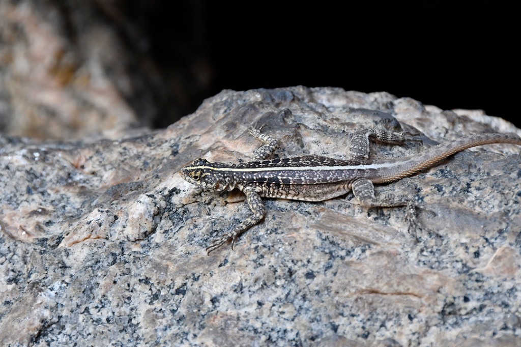 20200915_parque estadual pedra da boca © roberto guedes (122).JPG