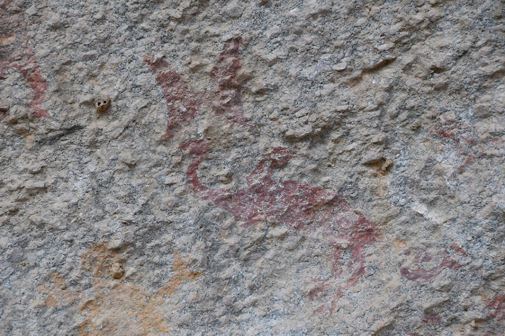 20200915_parque estadual pedra da boca © roberto guedes (130).JPG