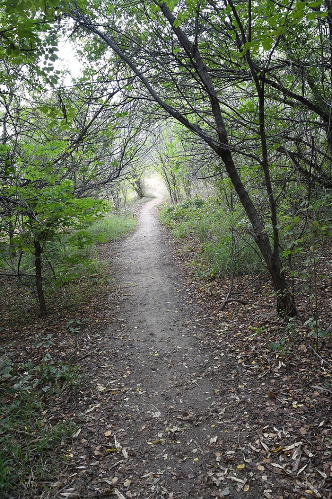 20200915_parque estadual pedra da boca © roberto guedes (290).JPG
