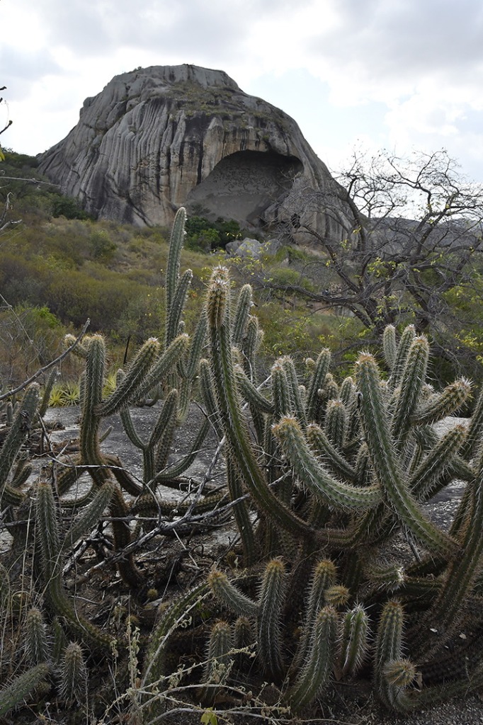 20200915_parque estadual pedra da boca © roberto guedes (65).JPG