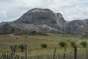 20200915_parque estadual pedra da boca © roberto guedes (7).JPG 20200915_parque estadual pedra da boca © roberto guedes (7).JPG