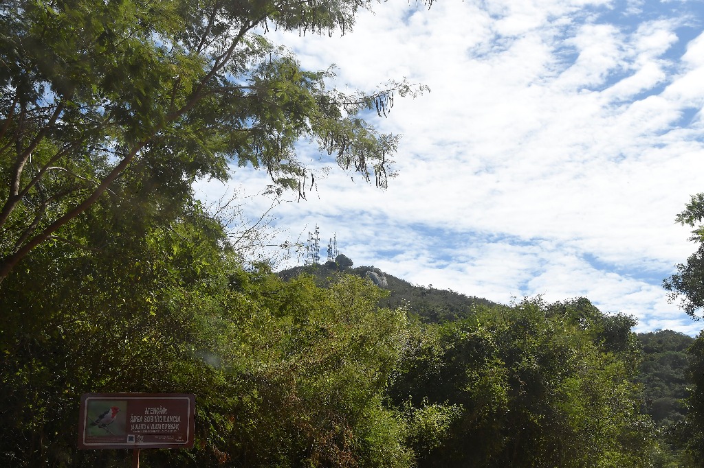 20200716_pico do jabre ©roberto guedes (17).JPG