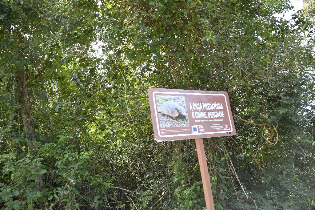 20200716_pico do jabre ©roberto guedes (25).JPG