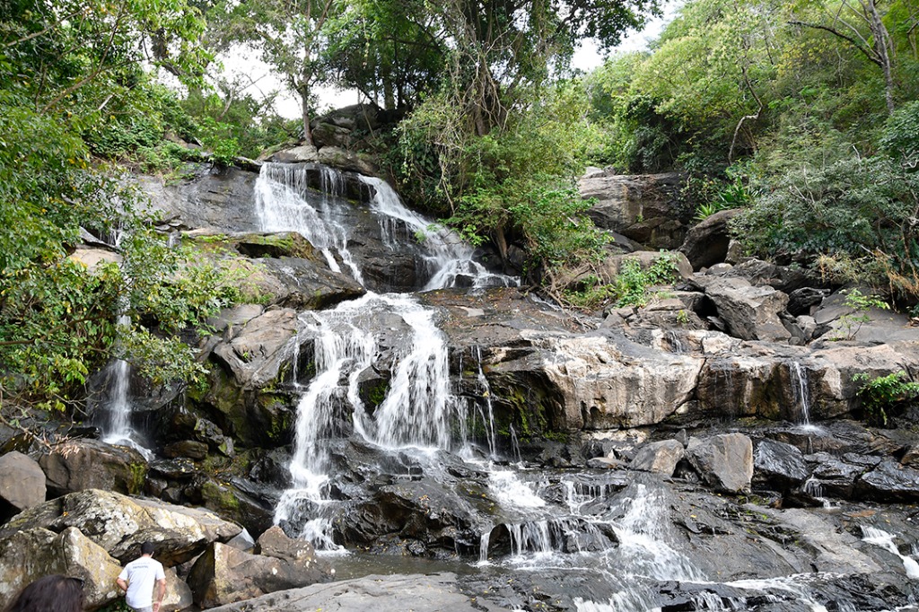 20200915_APA Roncador © roberto guedes (10).JPG