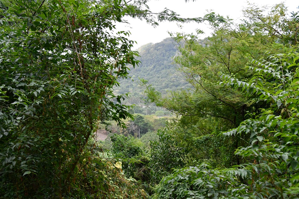 20200915_APA Roncador © roberto guedes (35).JPG