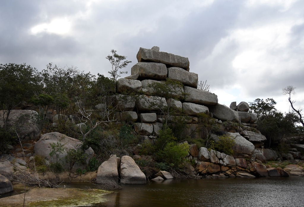 2020.07.19_apa do cariri_sacas de lã © roberto guedes (22) - Copia.JPG