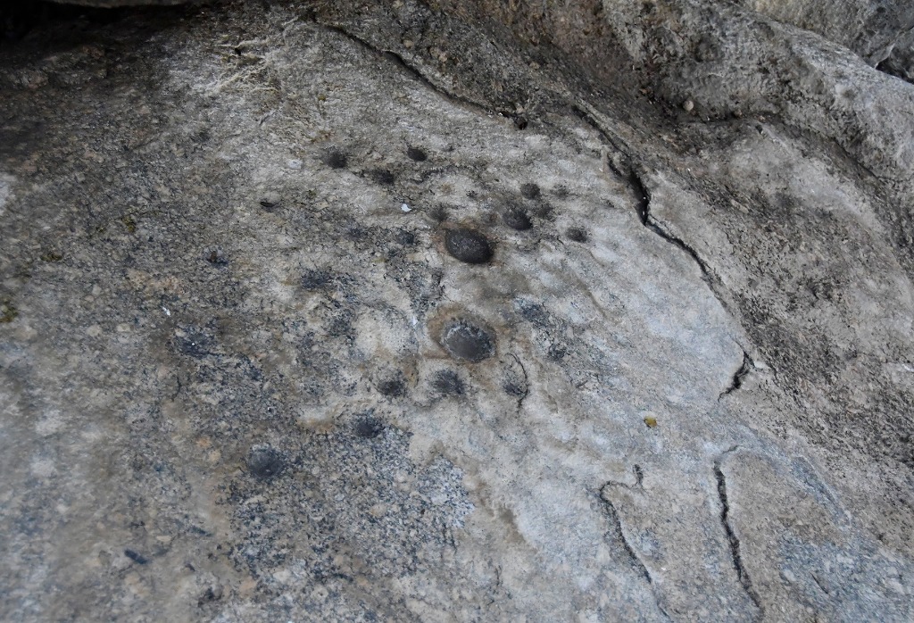 2020.07.19_apa do cariri_sacas de lã_arte rupestre © roberto guedes (127).JPG