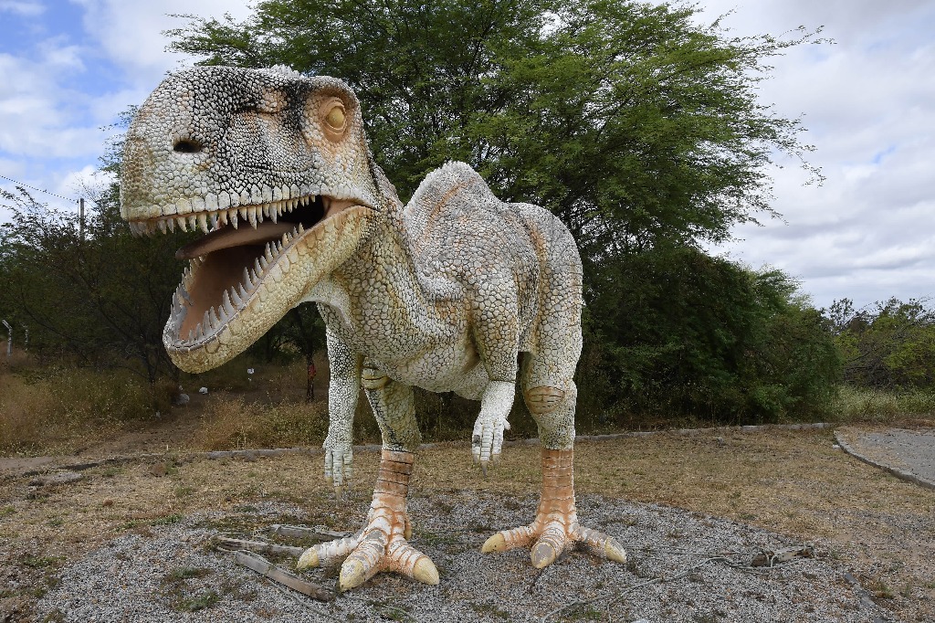 2020.07.27_ monumento natural vale dos dinossauros © roberto guedes (1).JPG