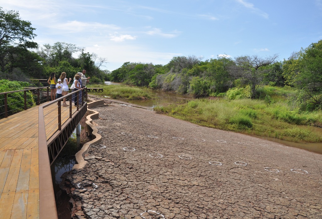 2020.07.27_ monumento natural vale dos dinossauros © roberto guedes (19).JPG