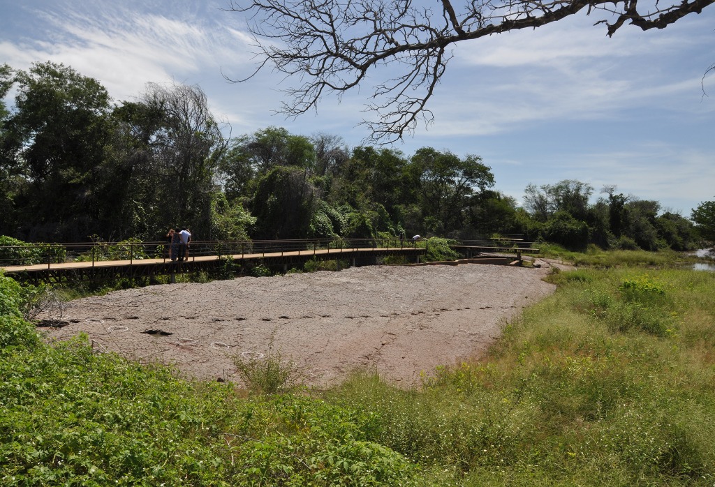2020.07.27_ monumento natural vale dos dinossauros © roberto guedes (20).JPG