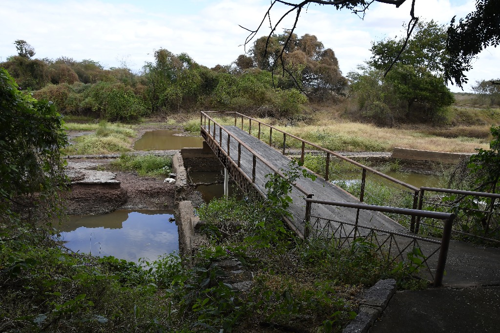 2020.07.27_ monumento natural vale dos dinossauros © roberto guedes (5).JPG