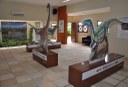 2020.07.27_ monumento natural vale dos dinossauros_museu © roberto guedes (33).JPG