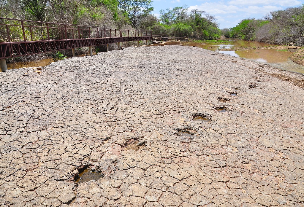 2020.07.27_ monumento natural vale dos dinossauros_pegadas © roberto guedes (24).JPG