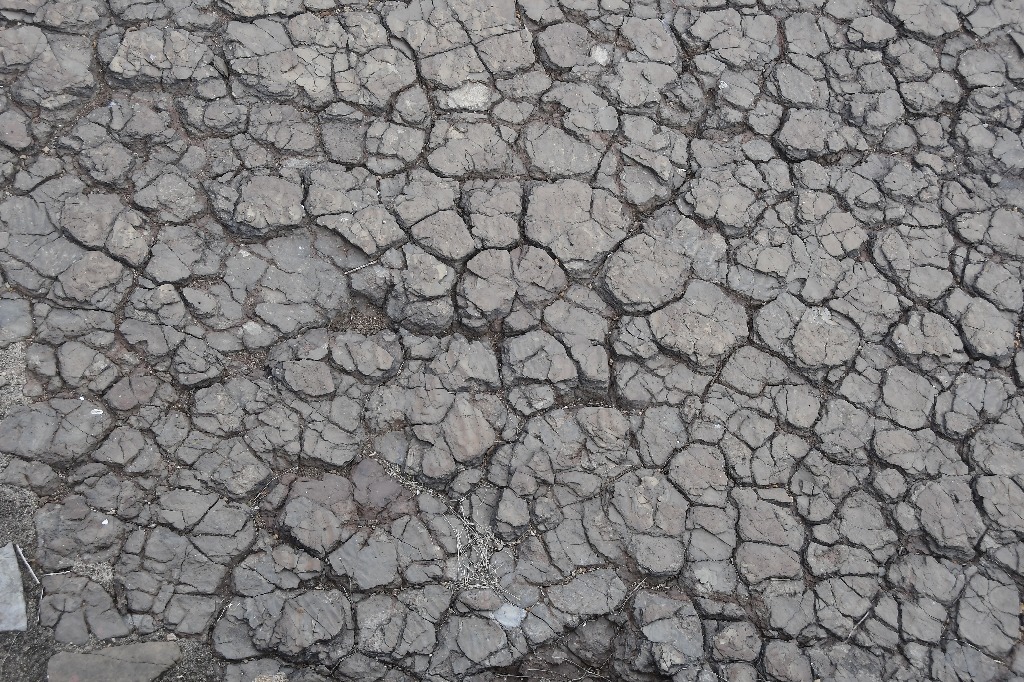 2020.07.27_ monumento natural vale dos dinossauros_pegadas © roberto guedes (25).JPG