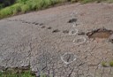 2020.07.27_ monumento natural vale dos dinossauros_pegadas © roberto guedes (26).JPG