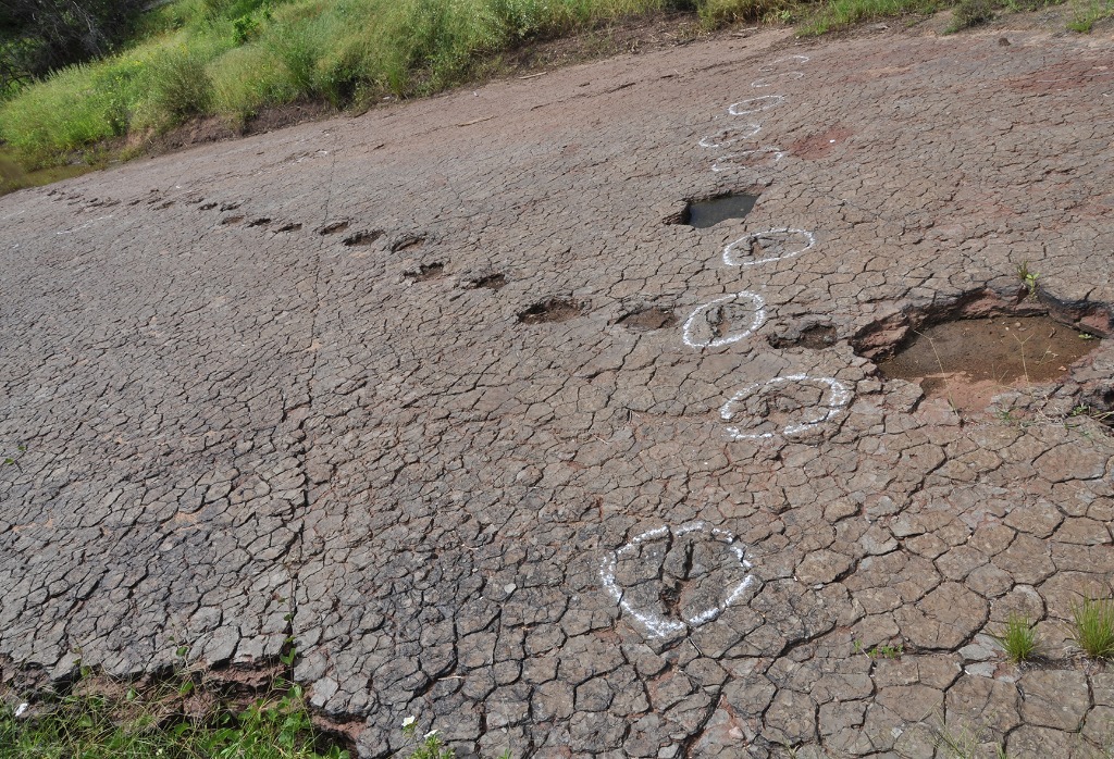 2020.07.27_ monumento natural vale dos dinossauros_pegadas © roberto guedes (26).JPG