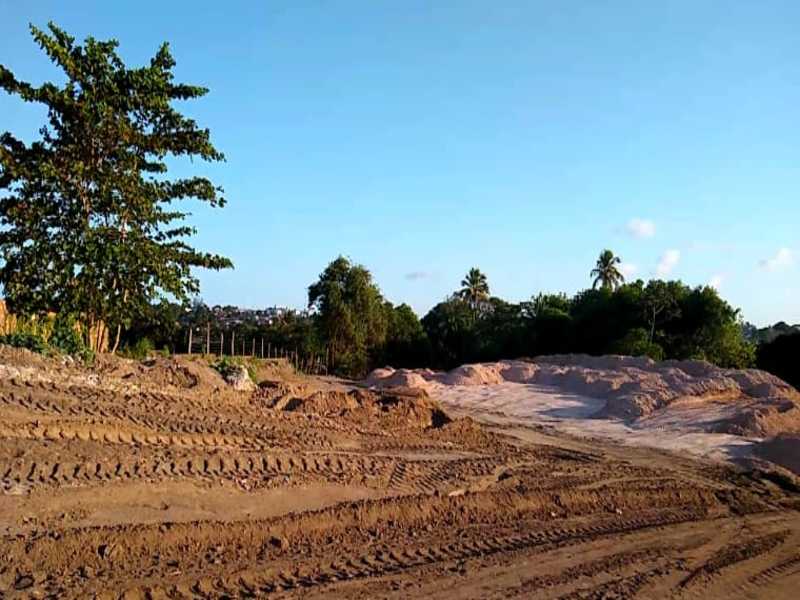 Mangabeira - Velentina