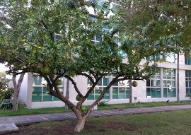 WhatsApp Image 2017-09-21 at 15.45.35_editado.jpeg