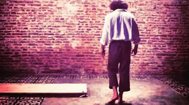 Luiz Carlos Vasconcelos protagoniza espetáculo sobre Ariano